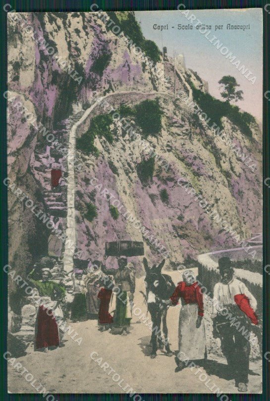 Napoli Capri cartolina KV2431 – fronte