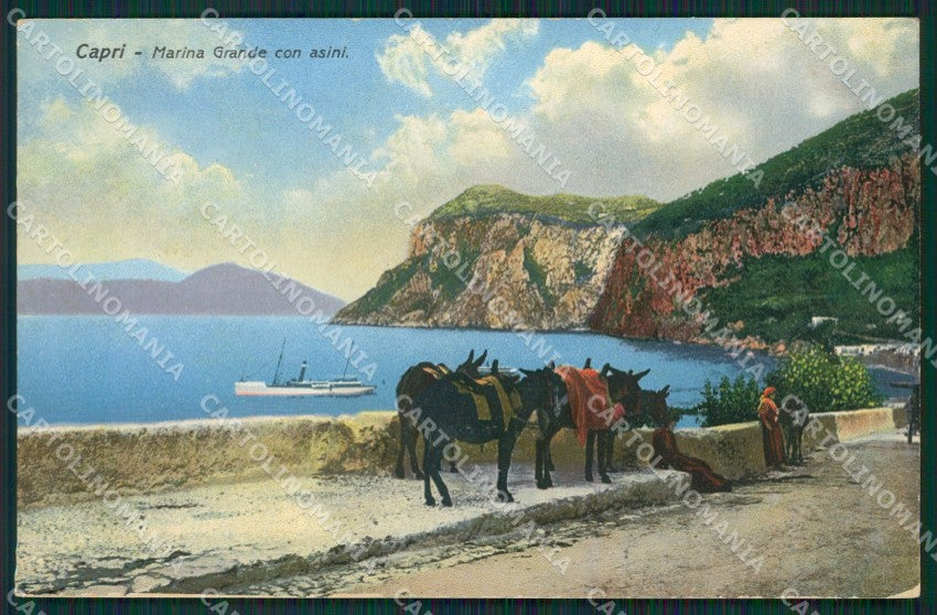 Napoli Capri cartolina KV2434 – fronte