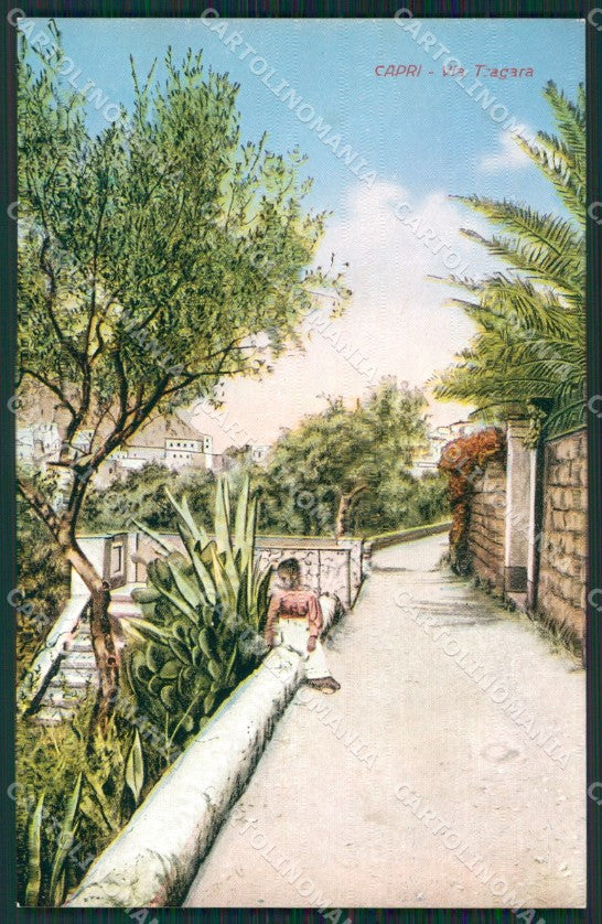 Napoli Capri cartolina KV2445 – fronte