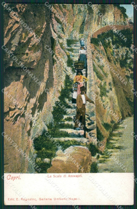 Napoli Capri cartolina KV2451 – fronte