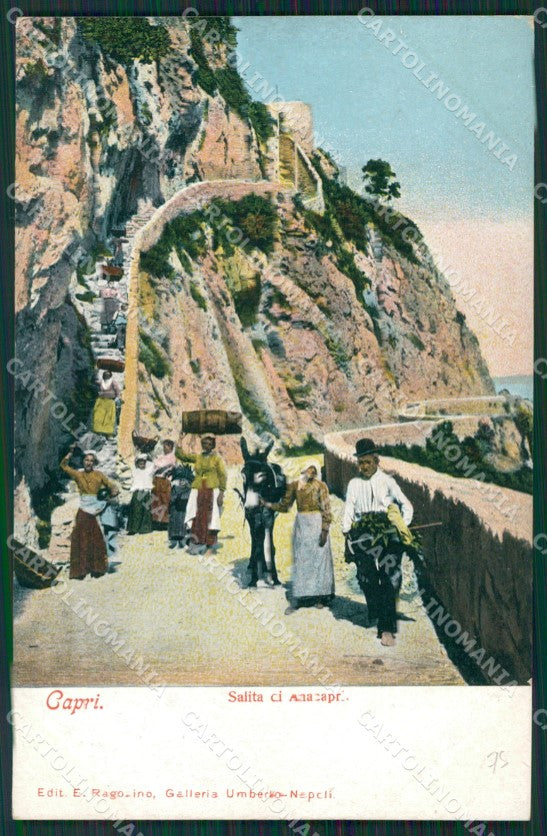 Napoli Capri cartolina KV2452 – fronte