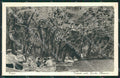 Napoli Capri Grotta Azzurra Barche cartolina KV2490 – fronte