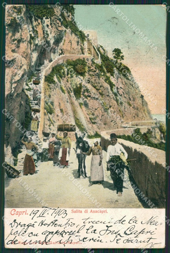 Napoli Capri cartolina KV2491 – fronte