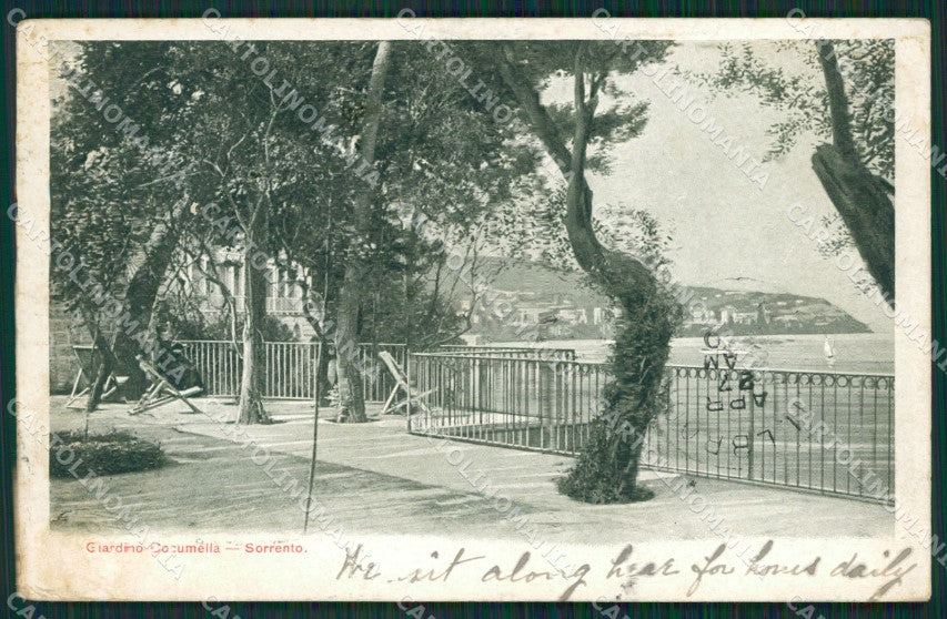 Napoli Sorrento cartolina KV2531 – fronte