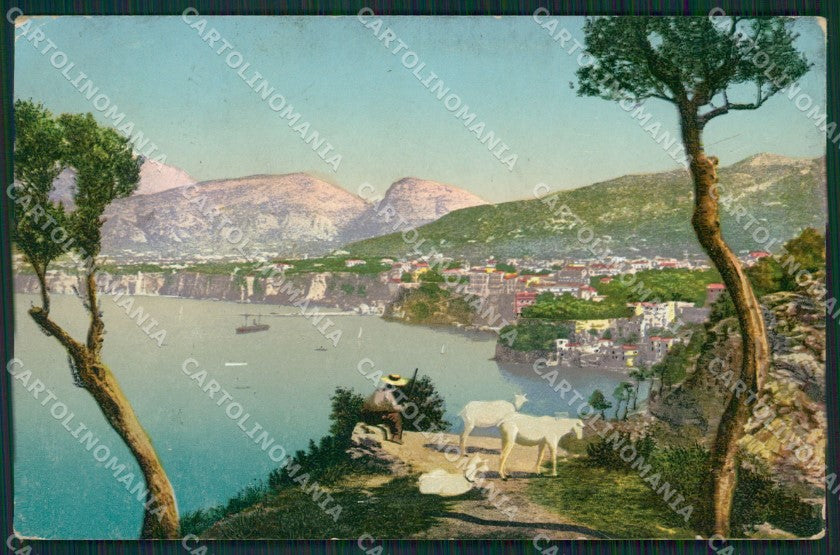 Napoli Sorrento Capre cartolina KV2597 – fronte