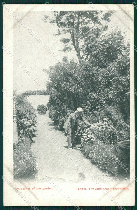 Napoli Sorrento cartolina KV2622 – fronte
