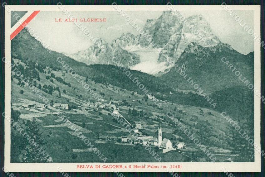 Belluno Selva di Cadore Carducci cartolina KV2949 – fronte