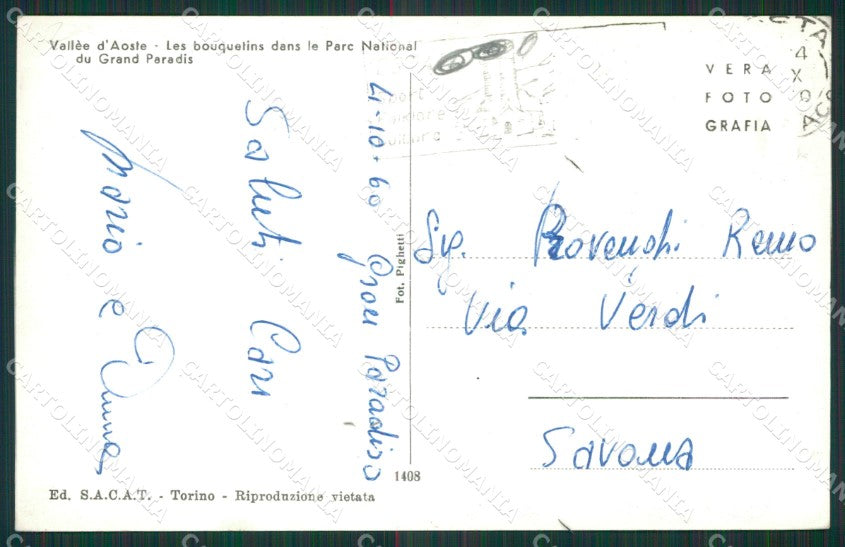 Torino Gran Paradiso Stambecchi Foto cartolina KV3018 – retro