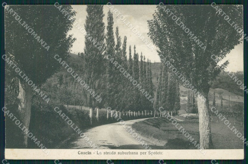 Perugia Cascia cartolina KV3208 – fronte