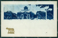 Roma Città STRAPPINO cartolina KV3266 – fronte