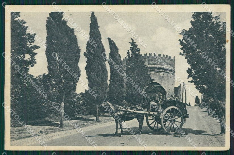 Roma Città Carretto cartolina KV3516 – fronte