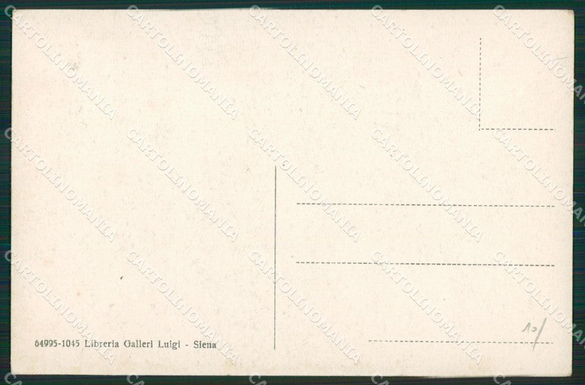 Siena Città cartolina KV3524 – retro