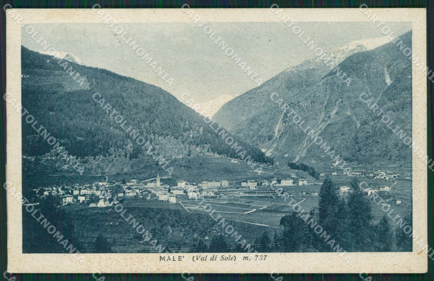 Trento Malé cartolina KV3616 – fronte