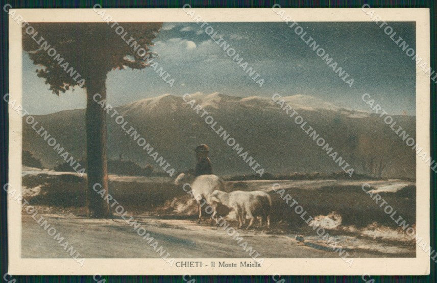 Chieti Maiella Pecore Chiaro di Luna cartolina KV3664 – fronte