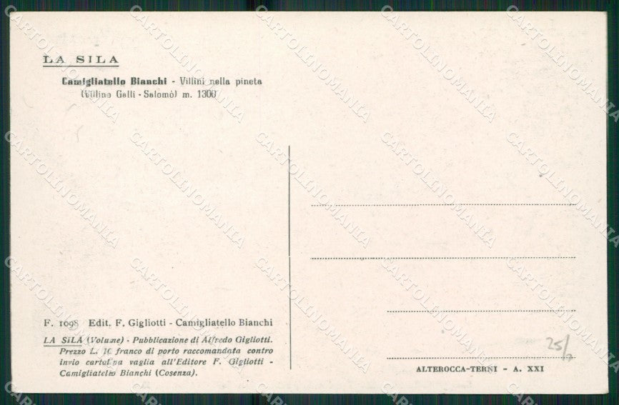 Cosenza Spezzano Camigliatello Bianchi cartolina KV3704 – retro