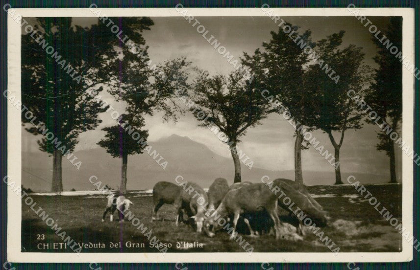 Chieti Gran Sasso Pecore PIEGHE Foto cartolina KV3836 – fronte