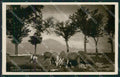 Chieti Gran Sasso Pecore PIEGHE Foto cartolina KV3836 – fronte