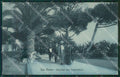 Imperia Sanremo cartolina KV4499 – fronte