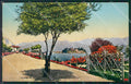 Novara Arona ? cartolina KV4605 – fronte