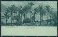 Imperia Bordighera STRAPPINO cartolina KV4814 – fronte