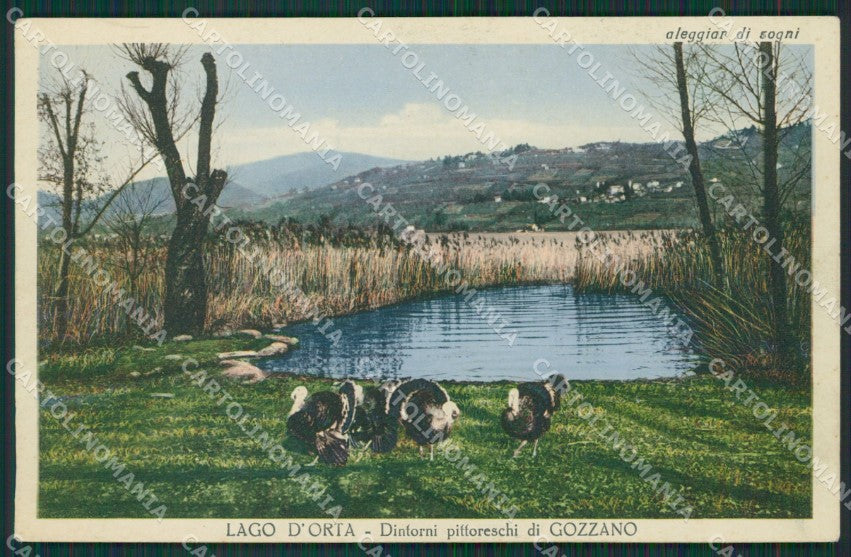 Novara Gozzano cartolina KV5010 – fronte
