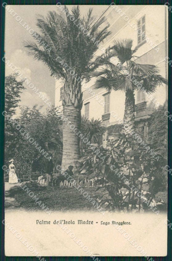 Verbania Stresa Isola Madre Lago Maggiore cartolina KV5081 – fronte