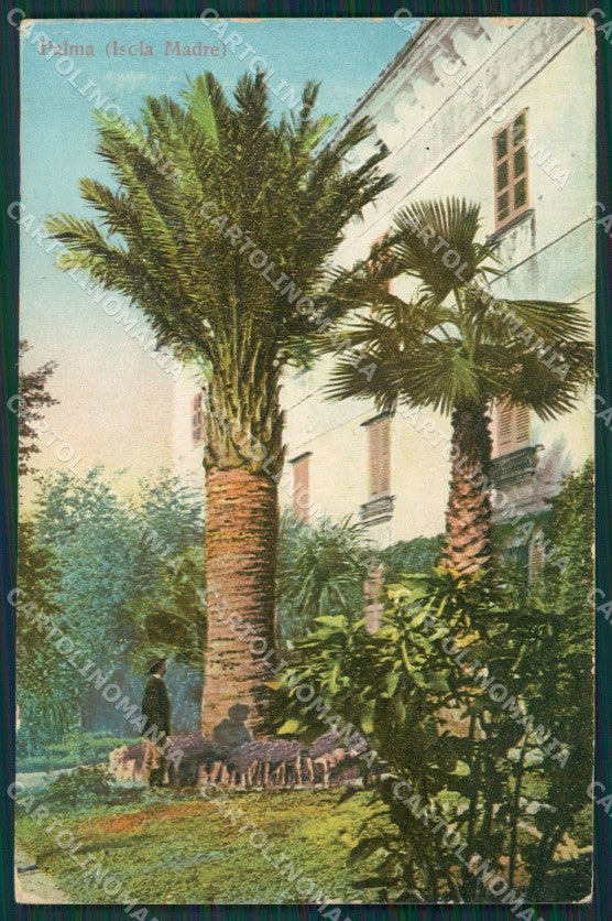 Verbania Stresa Isola Madre Lago Maggiore cartolina KV5087 – fronte
