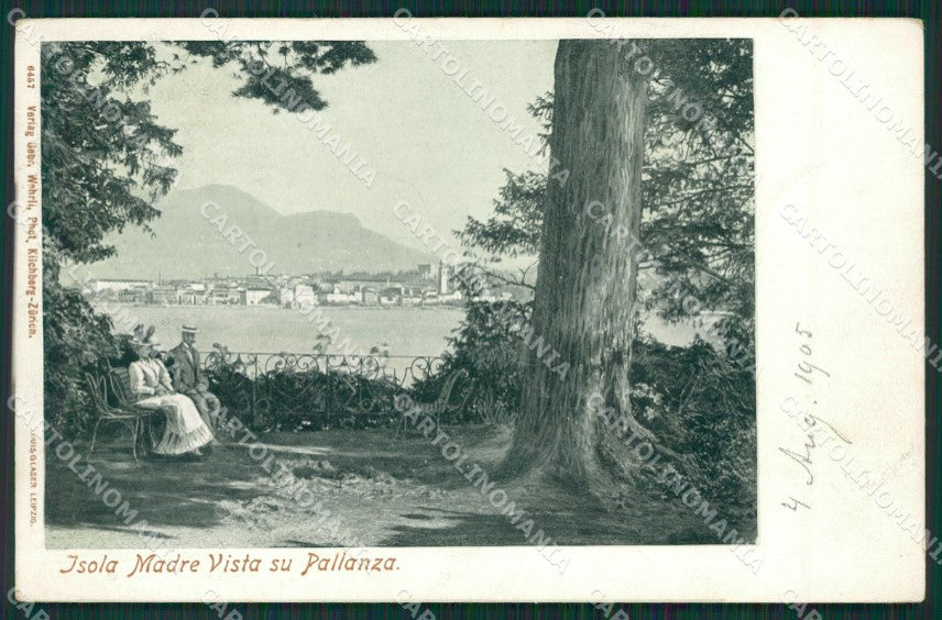 Verbania Stresa Isola Madre Pallanza cartolina KV5329 – fronte