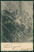 Verbania Stresa Isola Bella Serra cartolina KV5369 – fronte