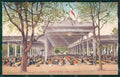 Imperia Ventimiglia Mercato dei Fiori cartolina KV5484 – fronte
