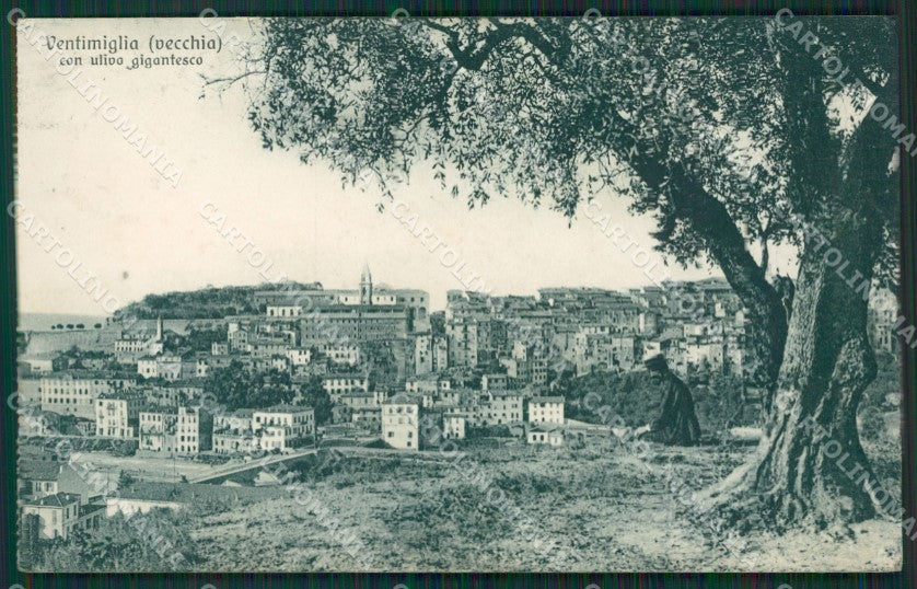 Imperia Ventimiglia cartolina KV5502 – fronte