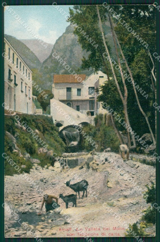 Salerno Amalfi Capre cartolina KV6307 – fronte