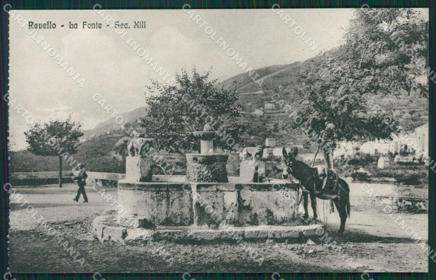 Salerno Ravello Asino cartolina KV6377 – fronte