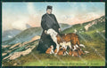 Aosta Gran San Bernardo Cane SCOLLATA cartolina KV6434 – fronte