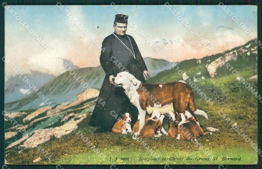 Aosta Gran San Bernardo Cane SCOLLATA cartolina KV6434 – fronte