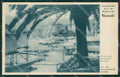 Genova Riviera Ligure Toselli cartolina KV6512 – fronte