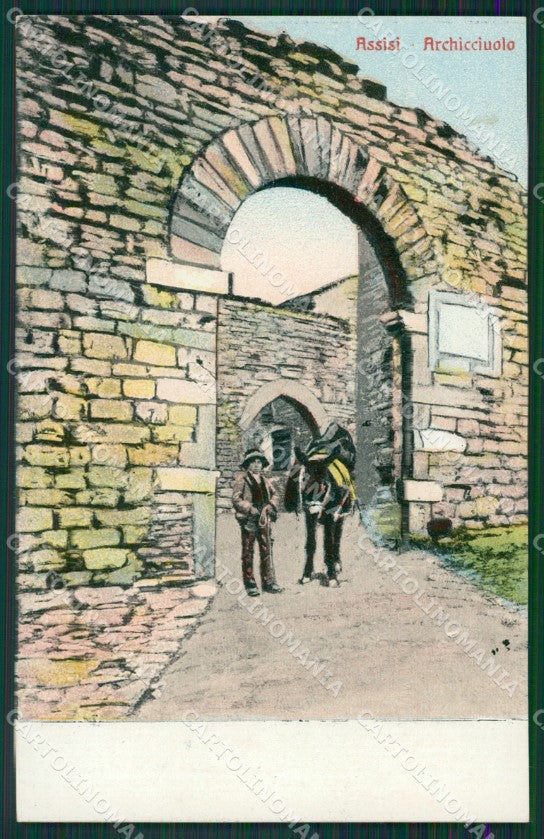 Perugia Assisi Asino cartolina KV6524 – fronte