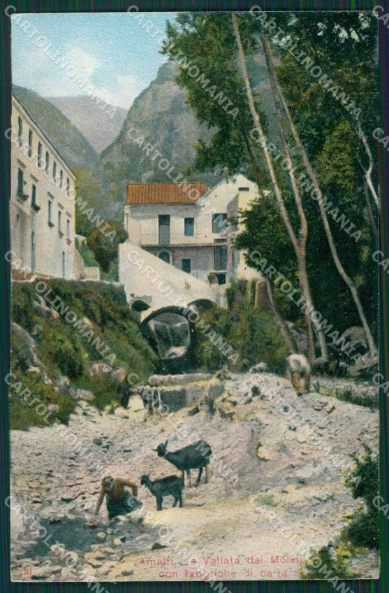 Salerno Amalfi Capre cartolina KV6604 – fronte
