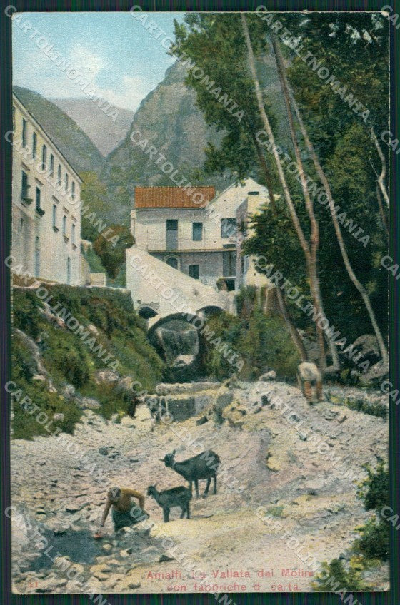 Salerno Amalfi Capre cartolina KV6727 – fronte