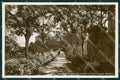 Napoli Capri Anacapri Foto cartolina KV6856 – fronte