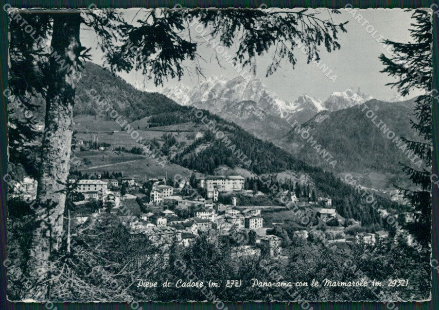 Belluno Pieve di Cadore Foto FG cartolina KV6920 – fronte