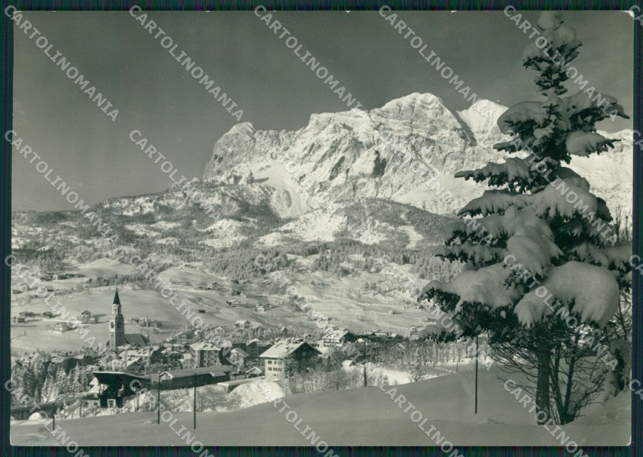 Belluno Cortina PIEGHE Foto FG cartolina KV6921 – fronte
