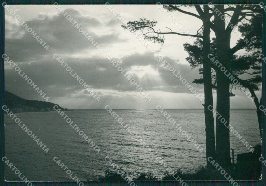 Savona Varazze Foto FG cartolina KV6963 – fronte