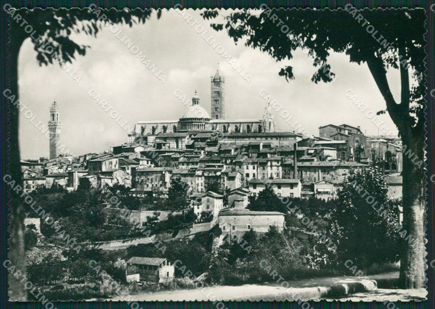 Siena Città Foto FG cartolina KV6964 – fronte