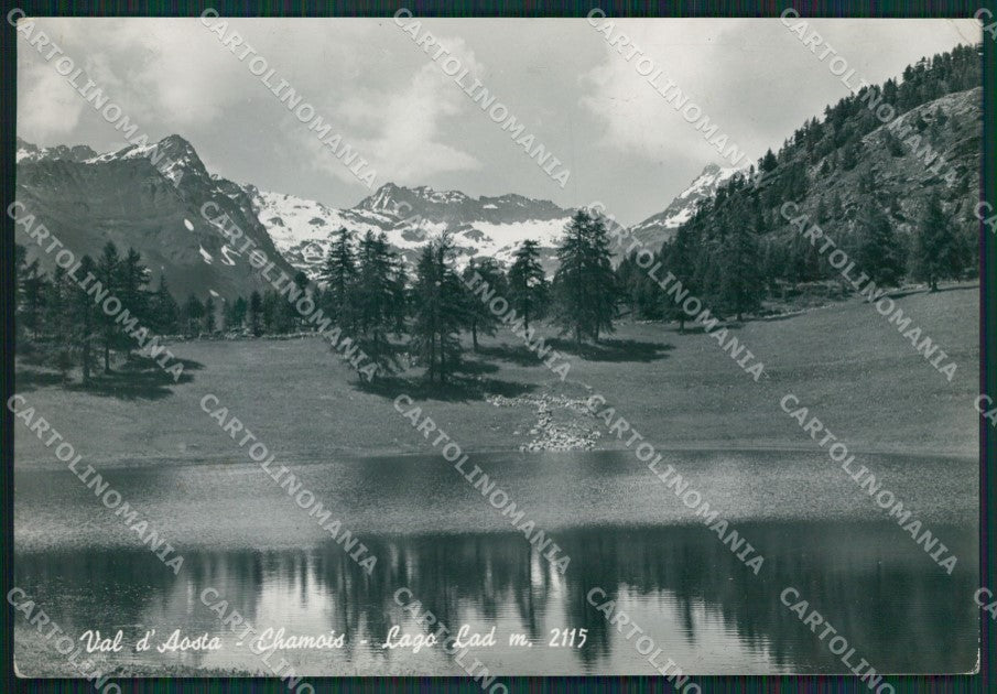 Aosta Chamois Lago Lad Foto FG cartolina KV7052 – fronte