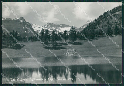 Aosta Chamois Lago Lad Foto FG cartolina KV7052 – fronte