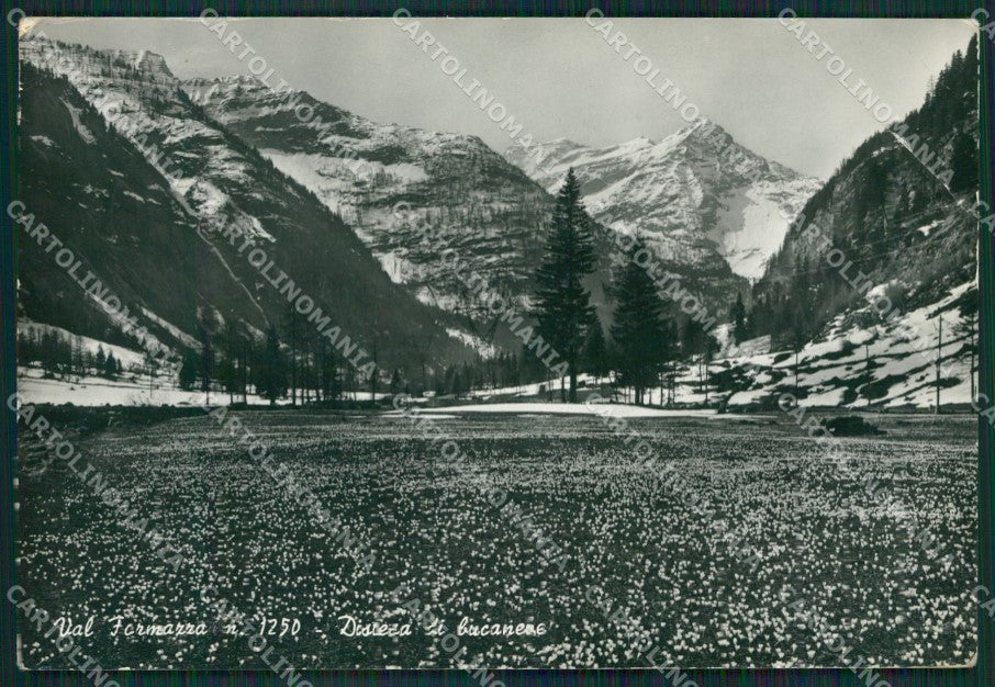 Verbania Formazza PIEGHE Foto FG cartolina KV7078 – fronte