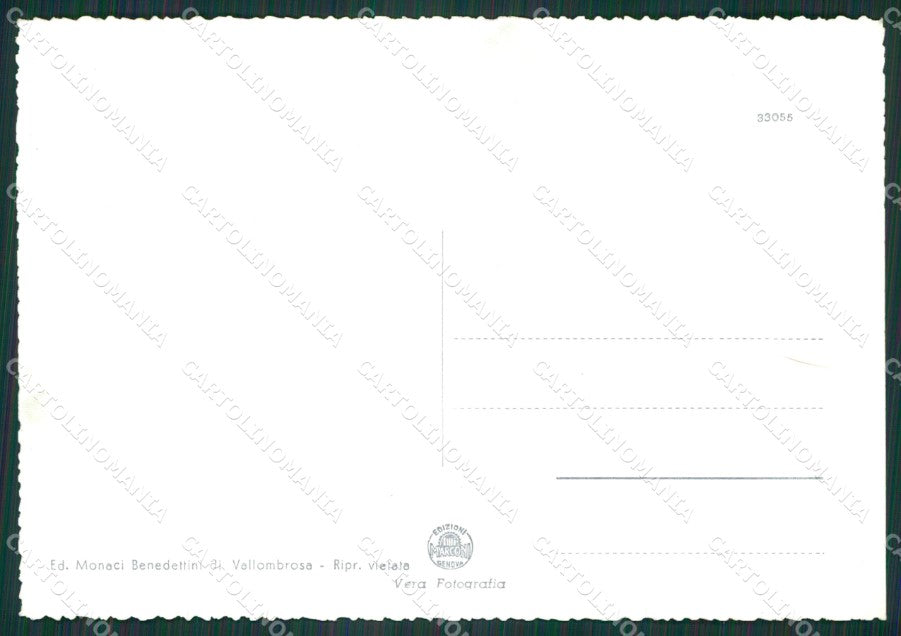 Firenze Reggello Vallombrosa Abbazia Foto FG cartolina KV7096 – retro