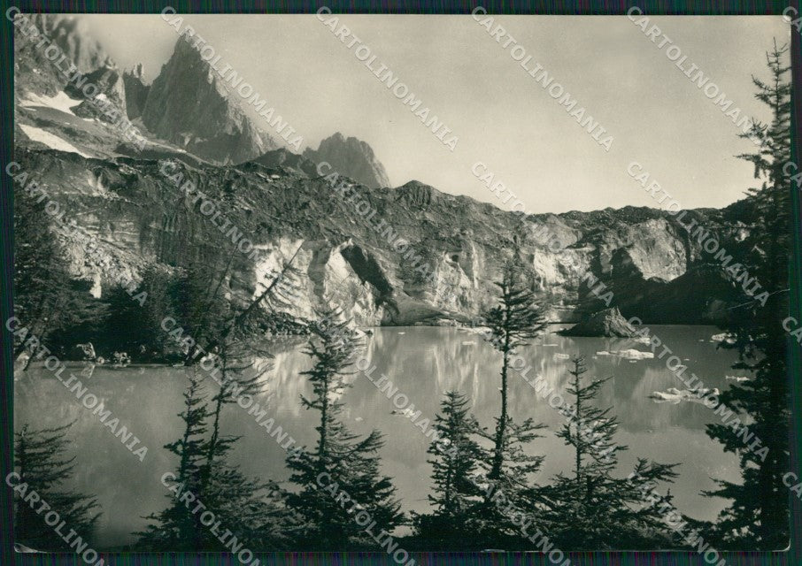 Aosta Courmayeur Lago di Miage Foto FG cartolina KV7116 – fronte