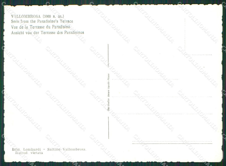 Firenze Reggello Vallombrosa Foto FG cartolina KV7136 – retro